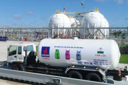 Vì sao loạt cổ phiếu doanh nghiệp Nhà nước tăng trần đầu năm?