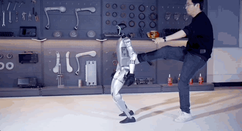 Tac gia va robot.gif
