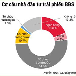 Siết trái phiếu, thắt tín dụng: Bất động sản 2020 khó chồng khó ảnh 2