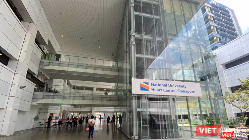 Gần 200 người Việt kẹt lại Singapore gửi đơn tới các cấp có thẩm quyền xin 