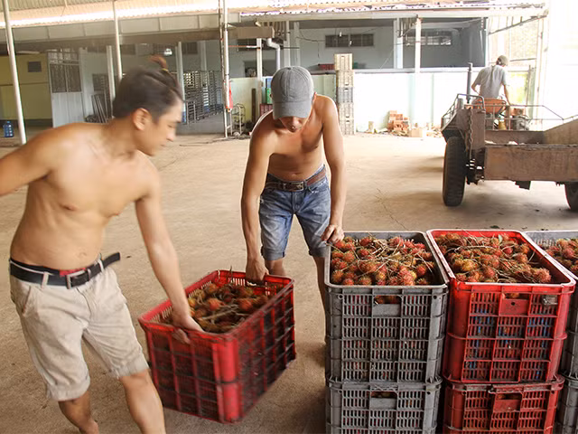 Nhà máy hiện nay ở Gia Kiệm của bà Trần Ngọc Sương đang tạo việc làm thường xuyên cho hàng trăm công nhân địa phương. Nhà máy hiện nay ở Gia Kiệm của bà Trần Ngọc Sương đang tạo việc làm thường xuyên cho hàng trăm công nhân địa phương.