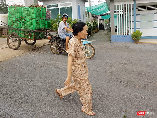 Bà Ba Sương đang đón một xe hàng chôm chôm vừa thu mua xong được chở tới nhà máy. Bà Ba Sương đang đón một xe hàng chôm chôm vừa thu mua xong được chở tới nhà máy.