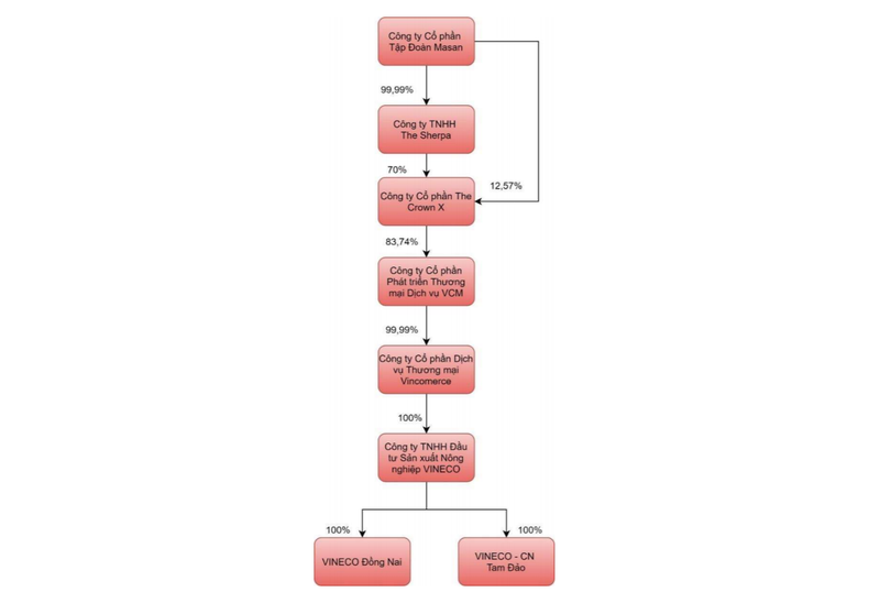 Sơ đồ tổ chức trong lĩnh vực thương mại và dịch vụ của Masan (Nguồn: MSN)