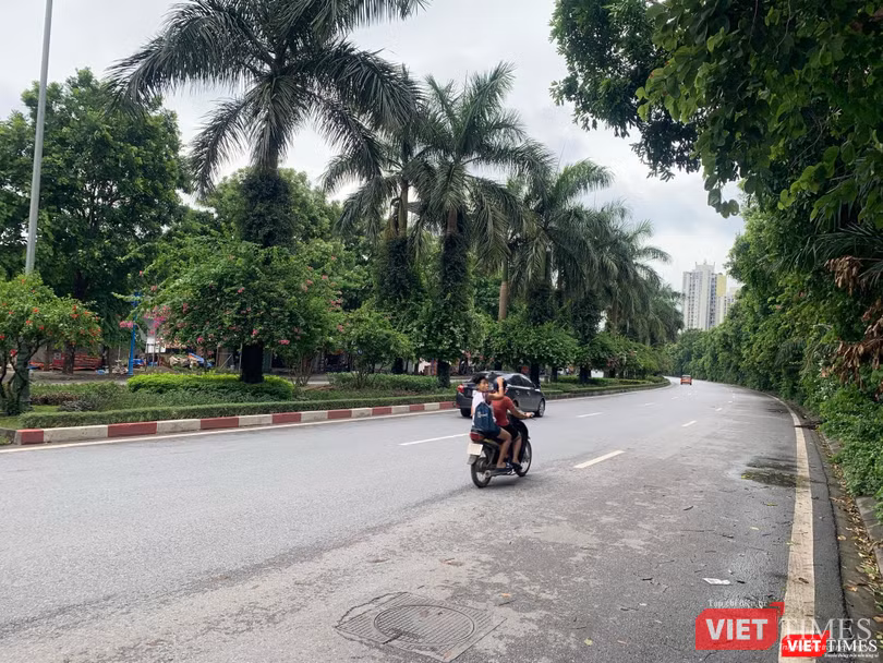 Ecopark có tham gia lên ý tưởng cho tuyến đường BT này?