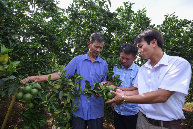 Đằng sau những dự án hàng nghìn tỷ của TH true MILK tại các vùng biên giới - Ảnh 2. Đằng sau những dự án hàng nghìn tỷ của TH true MILK tại các vùng biên giới - Ảnh 2.