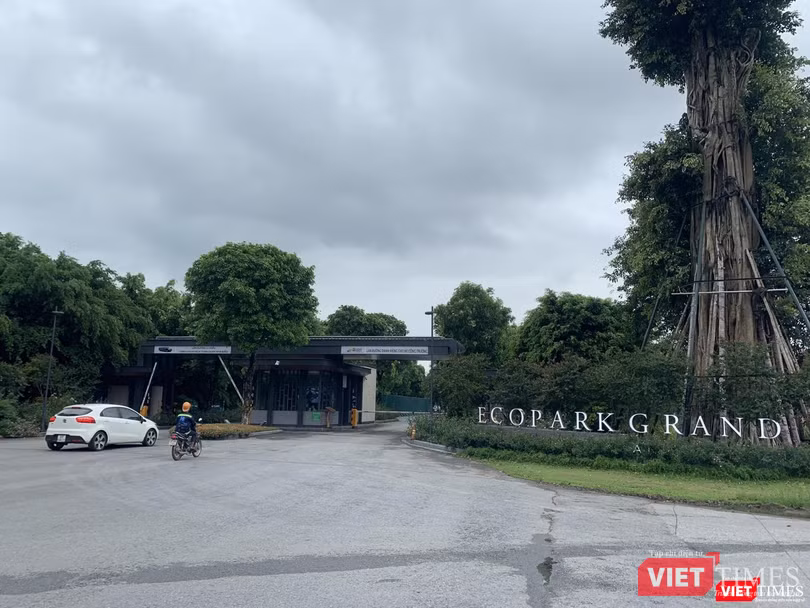 Vihajico hoài thai từ một dự án BT và trưởng thành cùng "công thức" BT.