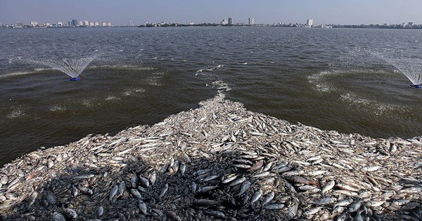 Hóa chất Redoxy 3C được Công ty Thoát nước Hà Nội dùng xử lý sự cố cá chết hàng loạt gây ô nhiễm nước hồ Tây. (Ảnh: TTO) Hóa chất Redoxy 3C được Công ty Thoát nước Hà Nội dùng xử lý sự cố cá chết hàng loạt gây ô nhiễm nước hồ Tây. (Ảnh: TTO)