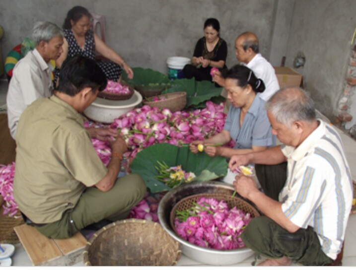 Vợ chồng nghệ nhân Ngô Văn Xiêm làm sen ướp trà cùng người thân trong gia đình.