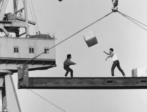 Cảnh trong phim "Người bảo vệ". Thành Long viết trong sách rằng diễn viên mặc áo trắng đứng trước mặt anh tỏ ra rất sợ hãi. "Anh ta có dây bảo hiểm còn tôi thì không", nam diễn viên mô tả. Cảnh trong phim "Người bảo vệ". Thành Long viết trong sách rằng diễn viên mặc áo trắng đứng trước mặt anh tỏ ra rất sợ hãi. "Anh ta có dây bảo hiểm còn tôi thì không", nam diễn viên mô tả.