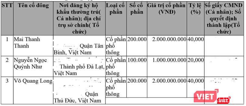 Vốn điều lệ ban đầu của Hướng Việt chỉ là 5 tỷ đồng, ở thời điểm thành lập (tháng 7/2009).