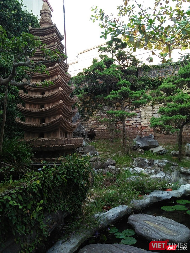 Một góc đẹp khác trong khu vườn của nghệ nhân Phạm Thế Anh.