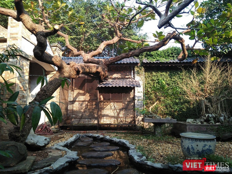 Một khoảng không gian đẹp lôi cuốn trong khu vườn của nghệ nhân Phạm Thế Anh.