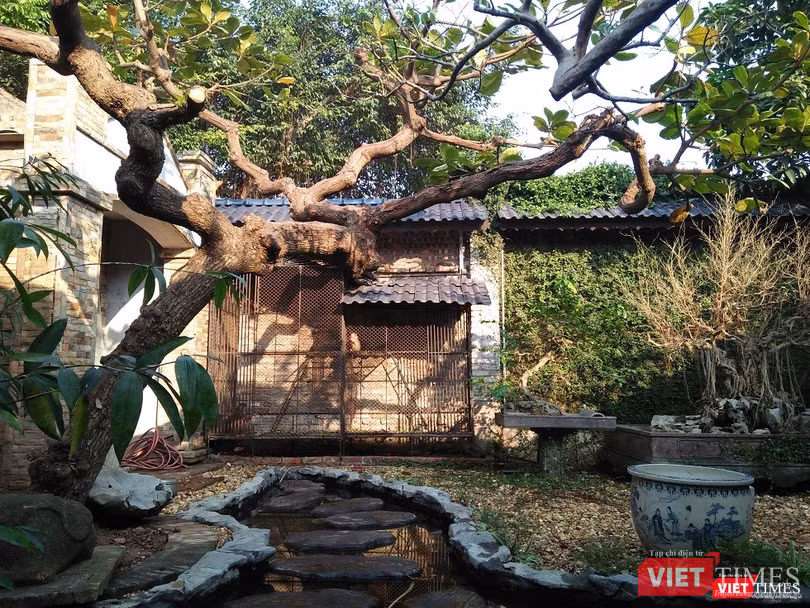 Một khoảng không gian đẹp lôi cuốn trong khu vườn của nghệ nhân Phạm Thế Anh.