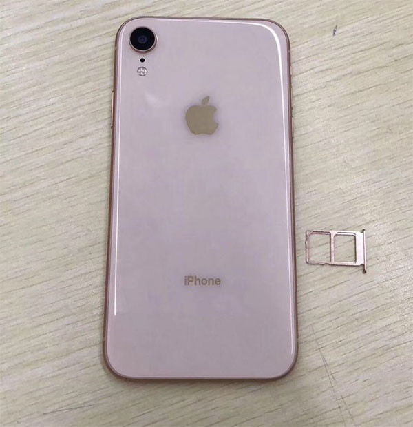 iPhone XC sẽ có 2 SIM