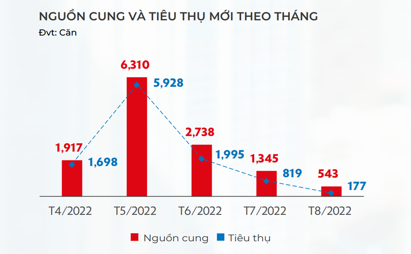 Nguồn cung và tiêu thụ mới theo tháng tại thị trường TP.HCM (Nguồn: DKRA Group)