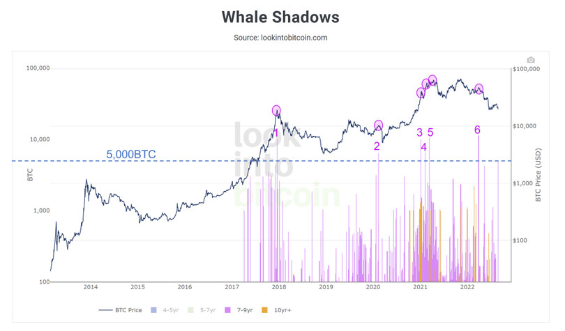 Biến động giá Bitcoin khi 'cá voi thức giấc' (Nguồn: lookintobitcoin.com) Biến động giá Bitcoin khi 'cá voi thức giấc' (Nguồn: lookintobitcoin.com)