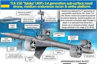 Thiết bị lặn không người lái (UUV) Toloka TLK-150 của Ukraine. Ảnh: Wforum.