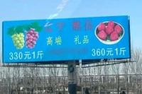 Biển quảng cáo Nho Vua và Dâu tây Vua dựng ven đường cao tốc. Ảnh: Worldjournal.