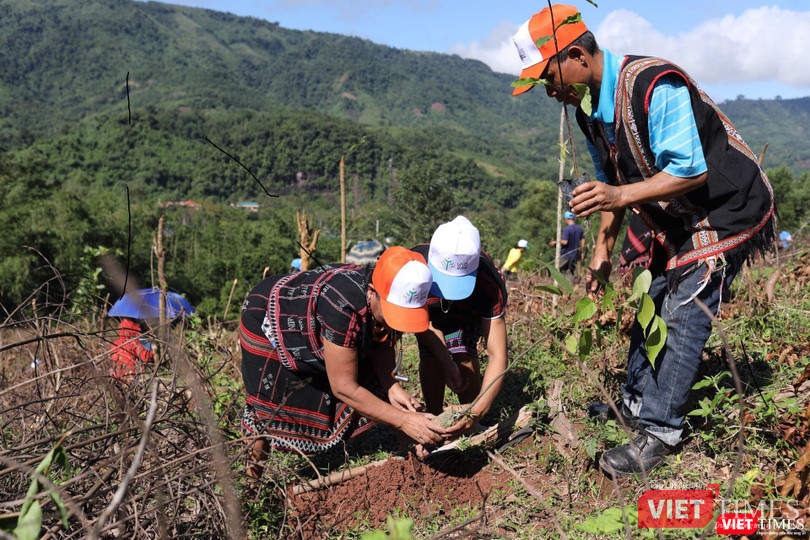 Tính tới ngày 20/11/2022, VARS đã nhận được 1.924 lượt đóng góp và trồng được 184.270 cây (tương đương 165,86 ha rừng). Tính tới ngày 20/11/2022, VARS đã nhận được 1.924 lượt đóng góp và trồng được 184.270 cây (tương đương 165,86 ha rừng).