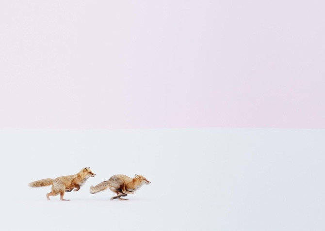 23 ảnh du lịch đẹp nhất thế giới năm 2016 trên National Geographic ảnh 4