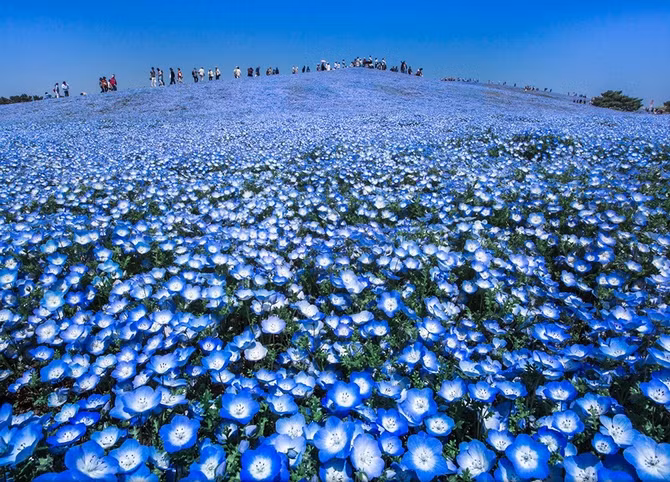 23 ảnh du lịch đẹp nhất thế giới năm 2016 trên National Geographic ảnh 13 23 ảnh du lịch đẹp nhất thế giới năm 2016 trên National Geographic ảnh 13