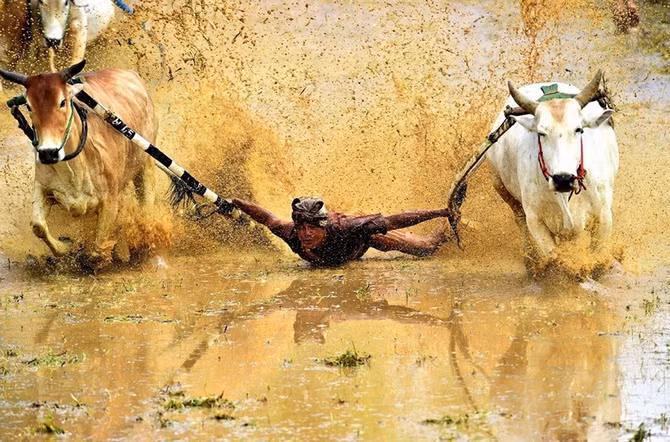 23 ảnh du lịch đẹp nhất thế giới năm 2016 trên National Geographic ảnh 22 23 ảnh du lịch đẹp nhất thế giới năm 2016 trên National Geographic ảnh 22