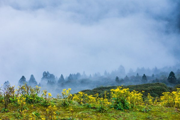 Vào mỗi mùa Nepal đều có nét đẹp riêng