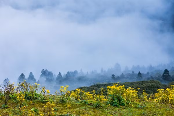 Vào mỗi mùa Nepal đều có nét đẹp riêng