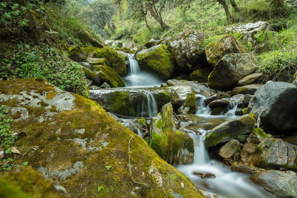 Những âm thanh róc rách, nhẹ nhàng của dòng suối