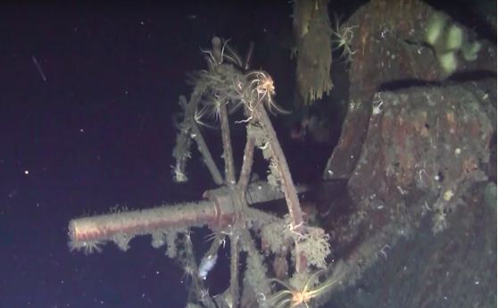 Đại bác trên xác tàu Dmitrii Donskoi