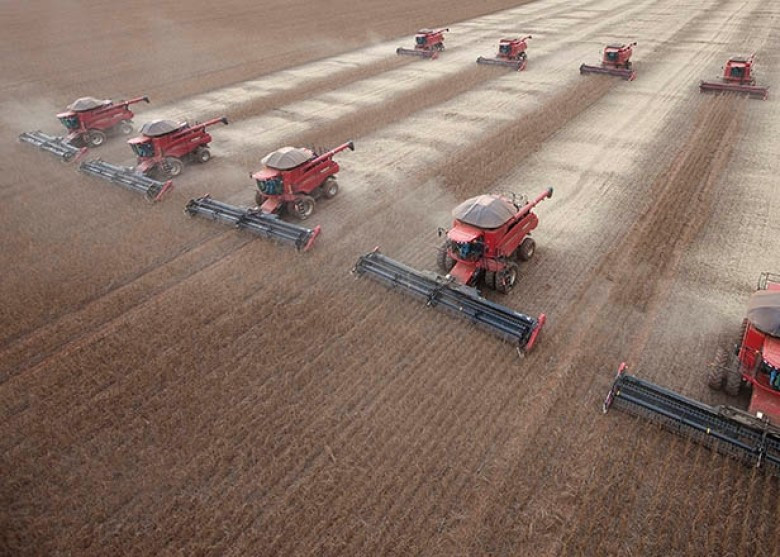 Thu hoạch đậu tương tại một nông trại Mỹ