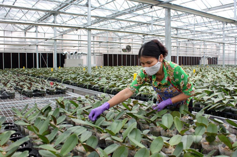 Làm nông nghiệp giờ phải ứng dụng công nghệ cao thì mới thành công