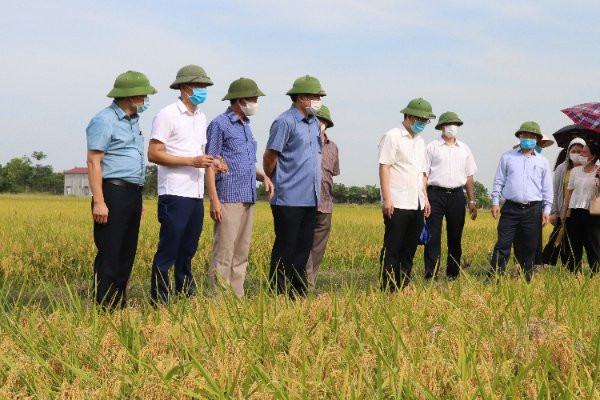 Hiệu quả kinh tế từ phát triển HTX ứng dụng công nghệ cao - Ảnh 3.