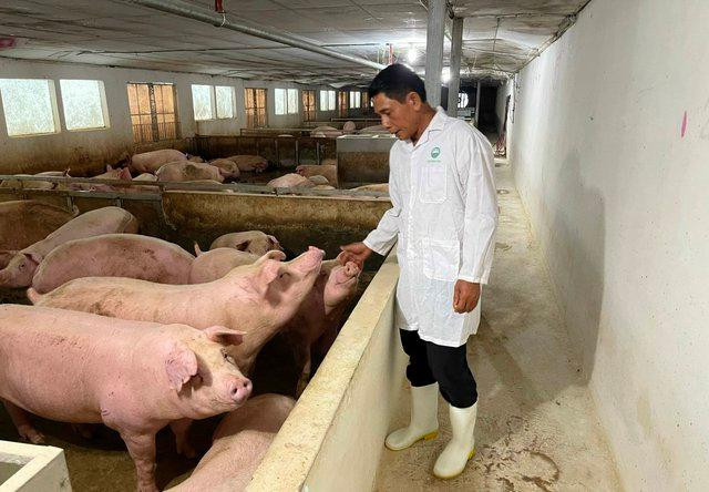 Hiệu quả kinh tế từ phát triển HTX ứng dụng công nghệ cao - Ảnh 2.