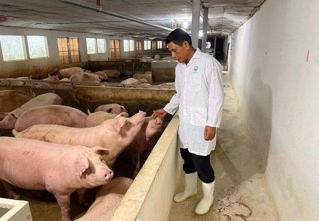 Hiệu quả kinh tế từ phát triển HTX ứng dụng công nghệ cao - Ảnh 2.