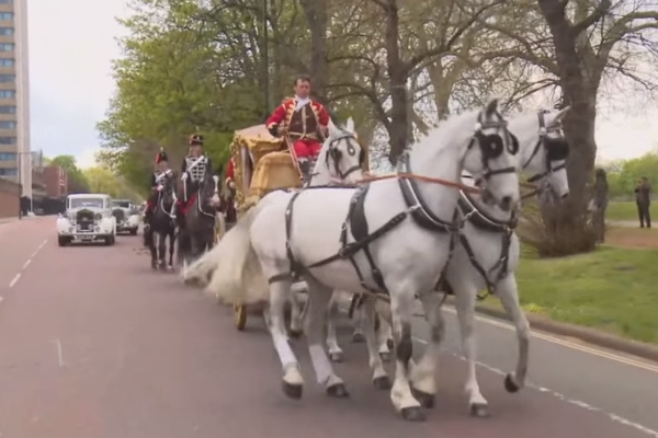 Video: Đám cưới xa hoa nhất hành tinh của con trai tỷ phú Nga ảnh 15