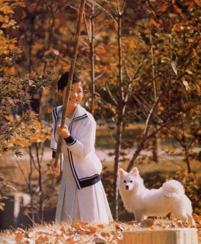 Năm 1971, bà Park quyết định theo học chuyên ngành kỹ sư điện tại trường Đại học Sogang.