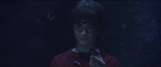 Tái hiện bộ truyện Harry Potter qua 100 khoảnh khắc đẹp nhất ảnh 9