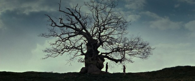 Tái hiện bộ truyện Harry Potter qua 100 khoảnh khắc đẹp nhất ảnh 93