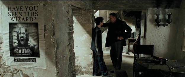 Tái hiện bộ truyện Harry Potter qua 100 khoảnh khắc đẹp nhất ảnh 21