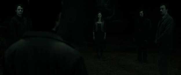 Tái hiện bộ truyện Harry Potter qua 100 khoảnh khắc đẹp nhất ảnh 96