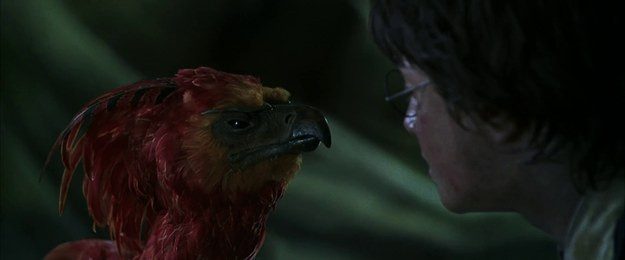 Tái hiện bộ truyện Harry Potter qua 100 khoảnh khắc đẹp nhất ảnh 17