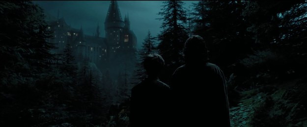 Tái hiện bộ truyện Harry Potter qua 100 khoảnh khắc đẹp nhất ảnh 29