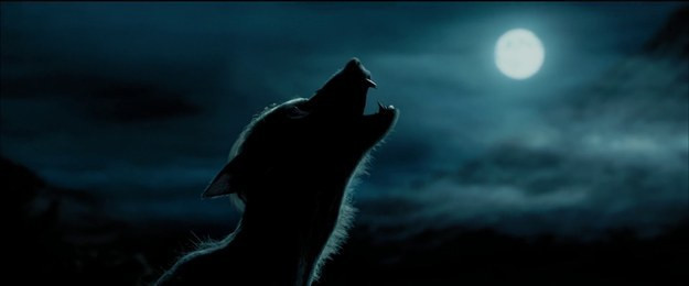 Tái hiện bộ truyện Harry Potter qua 100 khoảnh khắc đẹp nhất ảnh 30