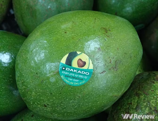 "Đọc vị" nhãn dán trên hoa quả nhập khẩu ảnh 11 "Đọc vị" nhãn dán trên hoa quả nhập khẩu ảnh 11