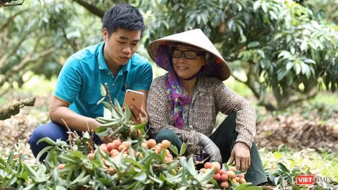 Mỗi hộ gia đình sẽ tạo gian hàng và chủ động đăng bán các sản phẩm trên sàn thương mại điện tử