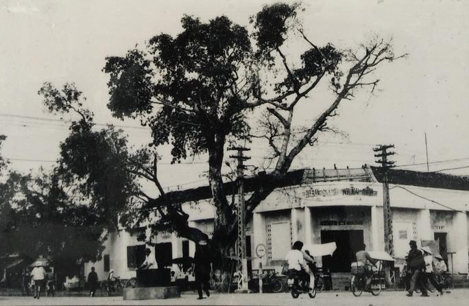 Sau đó Bác tới nói chuyện với quân, dân Thanh Hóa tại trung tâm thị xã Thanh Hóa Sau đó Bác tới nói chuyện với quân, dân Thanh Hóa tại trung tâm thị xã Thanh Hóa