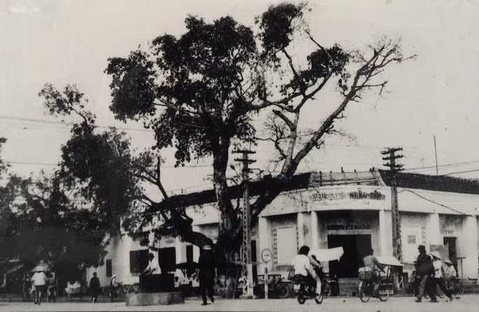 Sau đó Bác tới nói chuyện với quân, dân Thanh Hóa tại trung tâm thị xã Thanh Hóa Sau đó Bác tới nói chuyện với quân, dân Thanh Hóa tại trung tâm thị xã Thanh Hóa