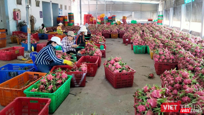 Những sản phẩm mang chỉ dẫn địa lý ở Nhật Bản thường có giá bán cao hơn thông thường và được người dân nơi đây ưa chuộng. Những sản phẩm mang chỉ dẫn địa lý ở Nhật Bản thường có giá bán cao hơn thông thường và được người dân nơi đây ưa chuộng.