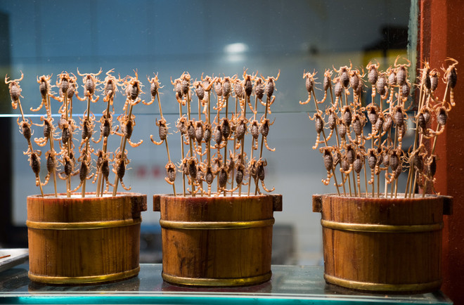 Khám phá đặc sản từ côn trùng ở miền Nam ảnh 4 Khám phá đặc sản từ côn trùng ở miền Nam ảnh 4